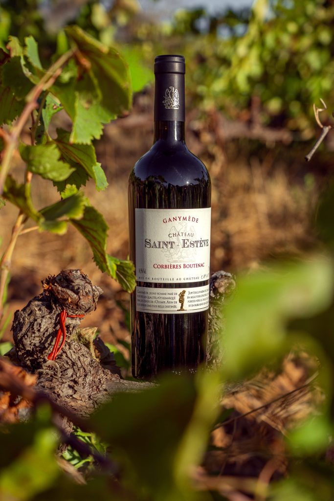 Chateau de Saint Esteve Ganymede Corbieres